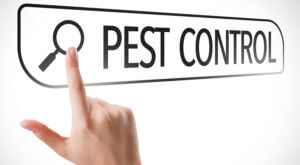 are over 1000 licensed pest control operators to choose from