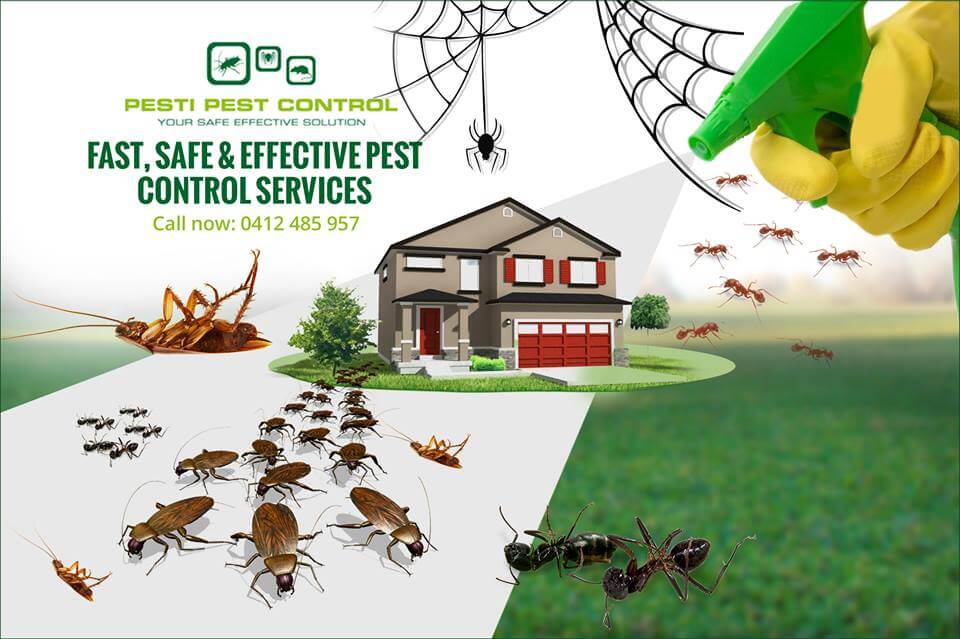 How to Select the Best Pest Exterminator