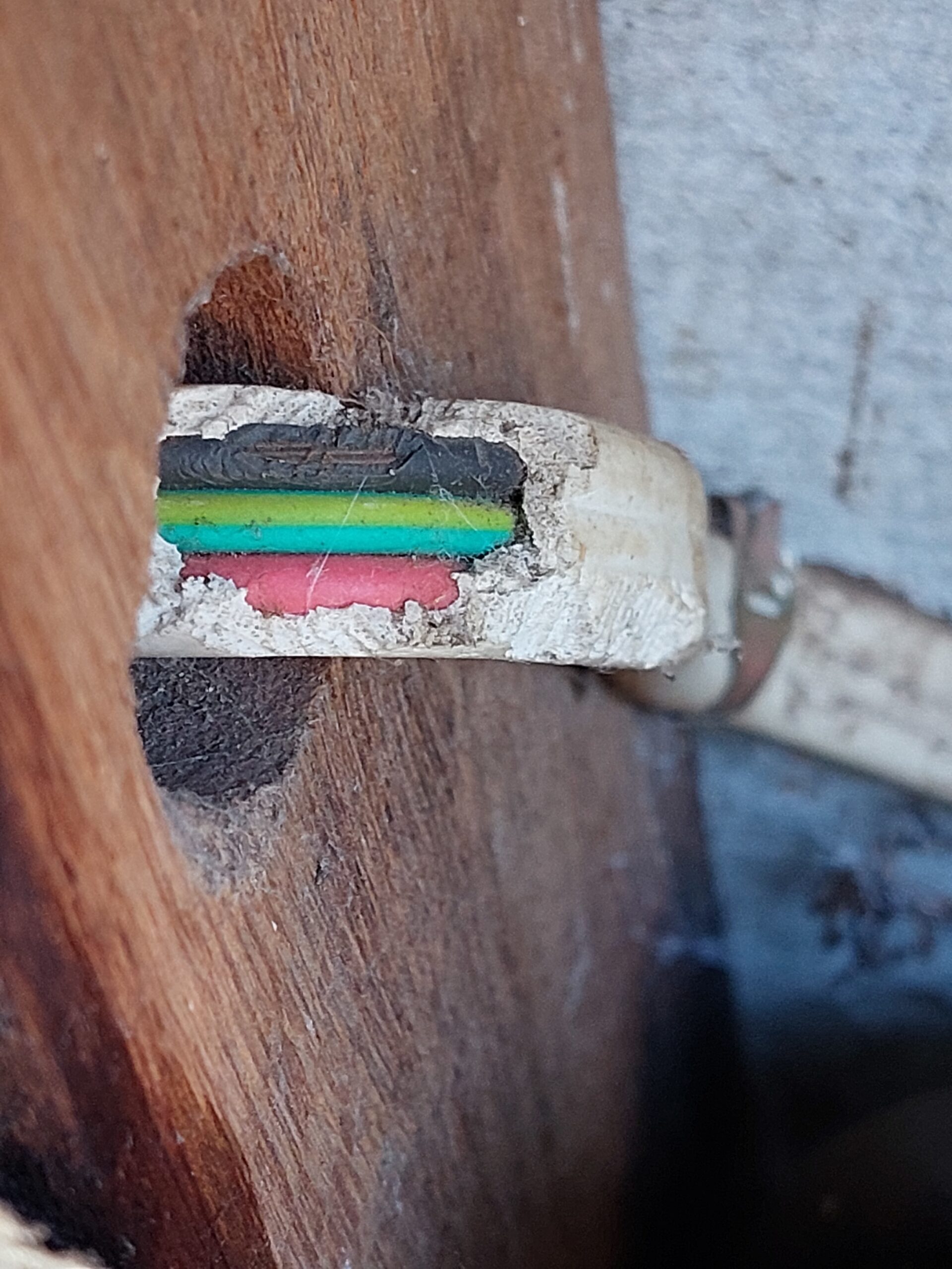 Rodent Control Perth, Treatment & Removals Rats Perth, Mice Control